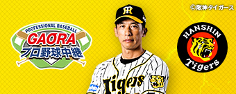 Gaoraプロ野球中継 練習試合 タイガース 番組紹介 Gaora