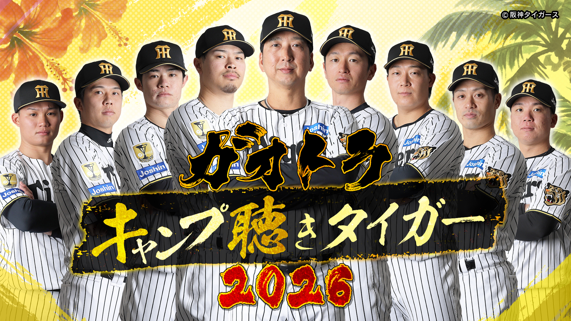 ガオトラ!キャンプ聴きタイガー2026